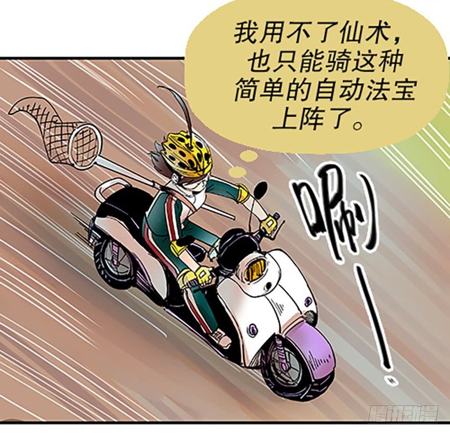 双雌争锋76