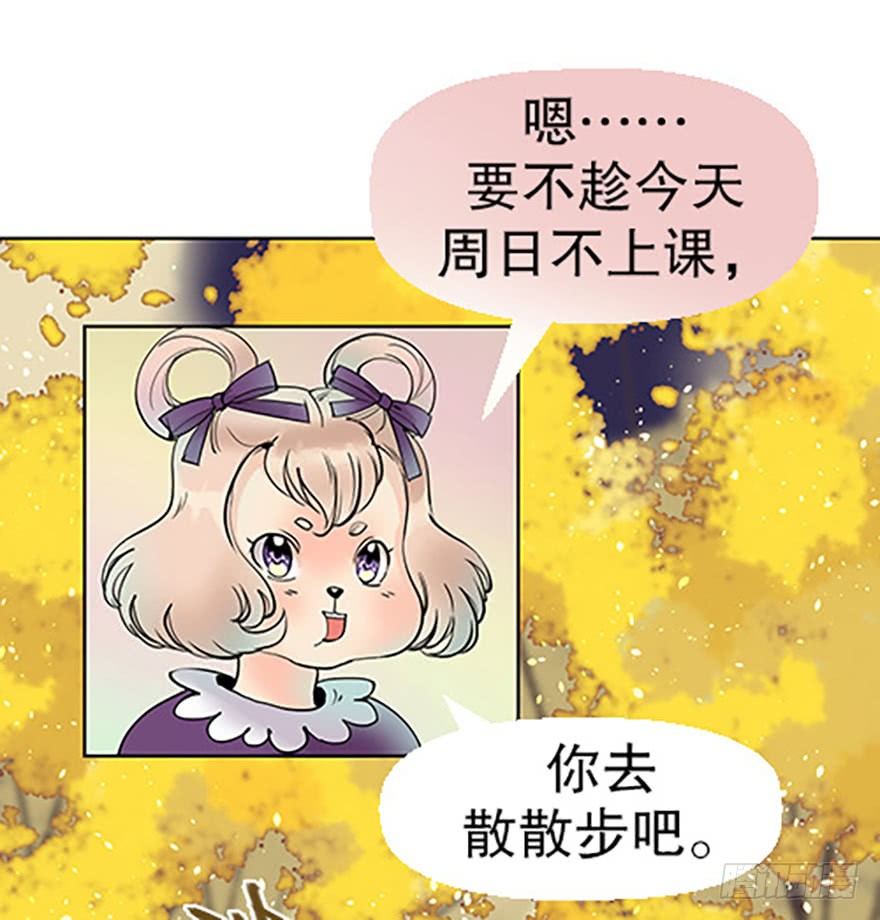 法宝测验19
