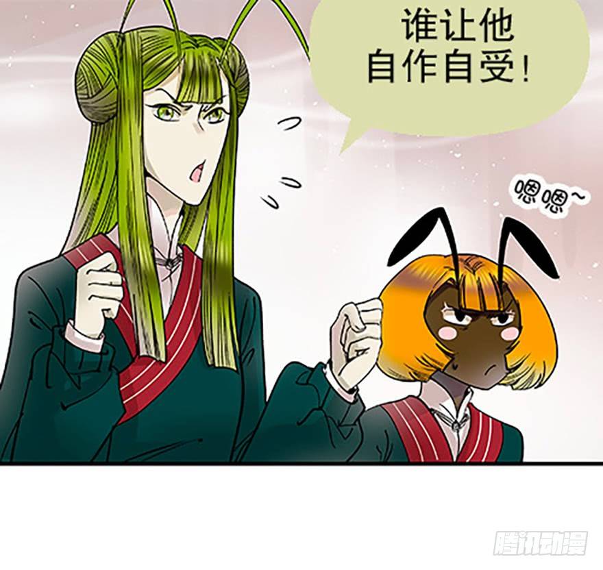 双雌争锋14
