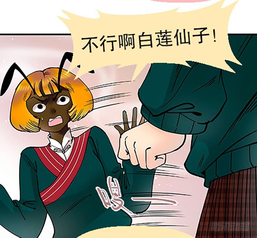 双雌争锋9