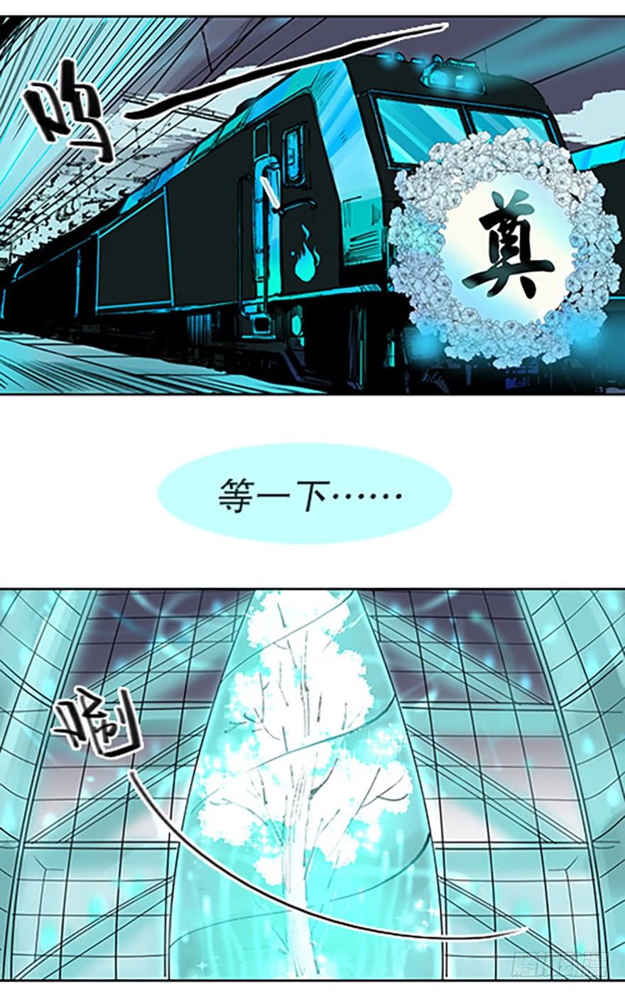 艾科学！与仙人邂逅36