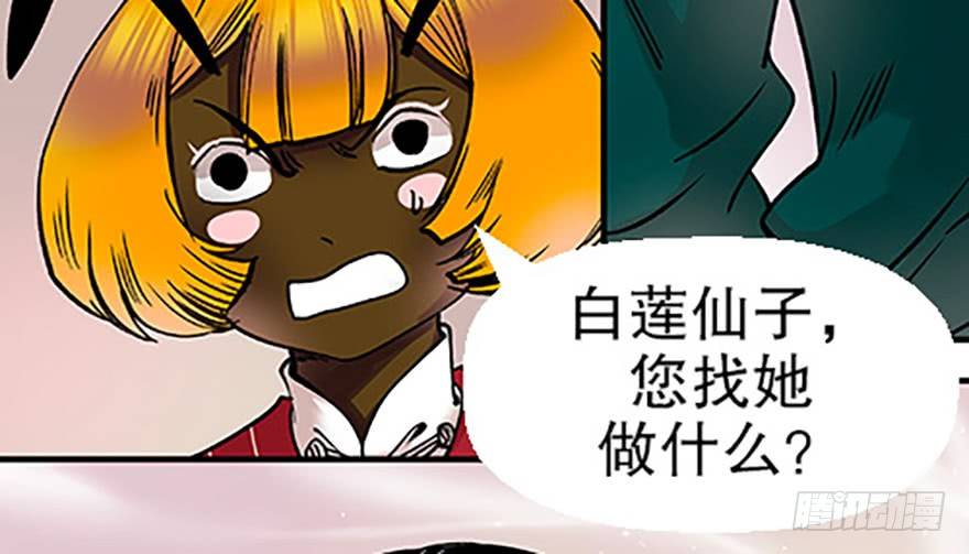 双雌争锋7