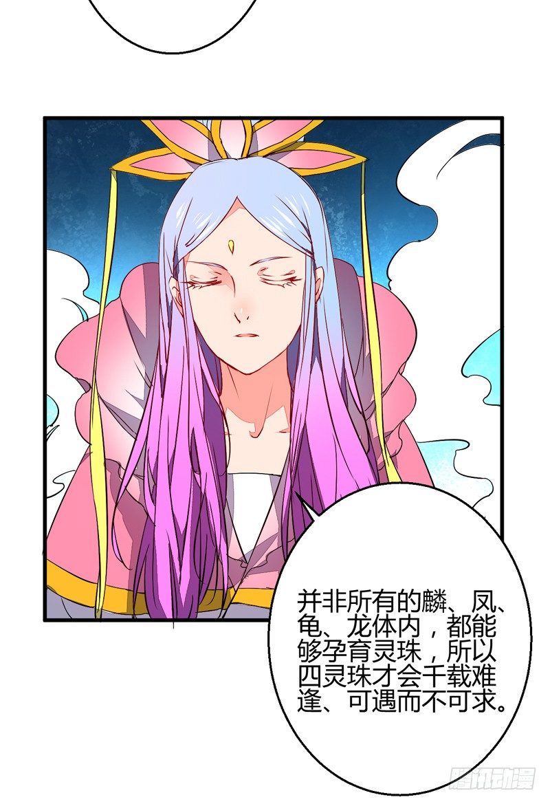 四灵珠12