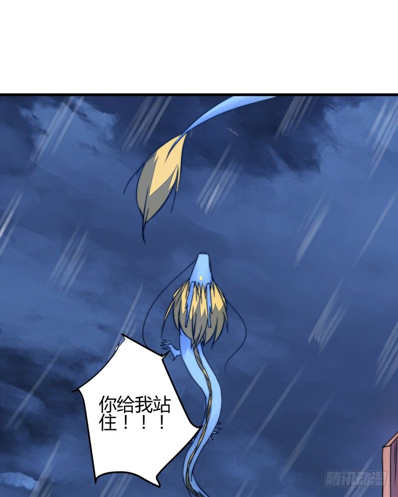 雌雄双龙28