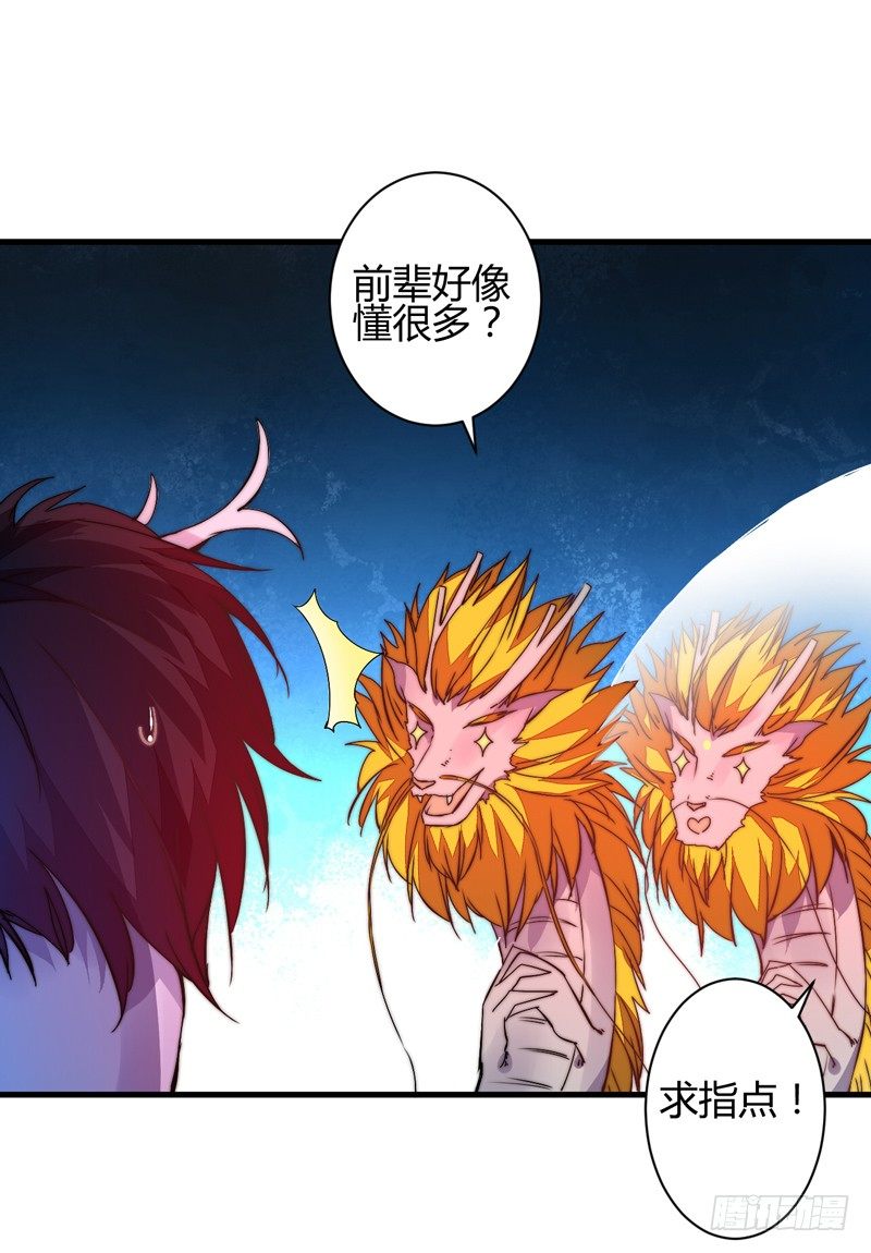 收服双龙28