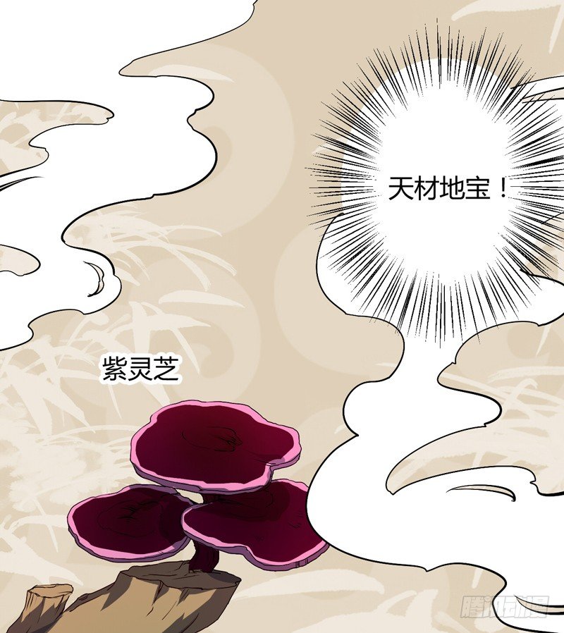 仙山仙岛11