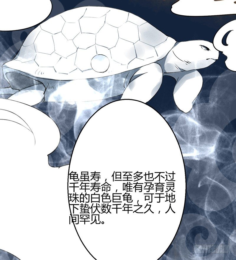 四灵珠17