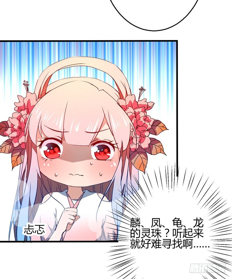 四灵珠10