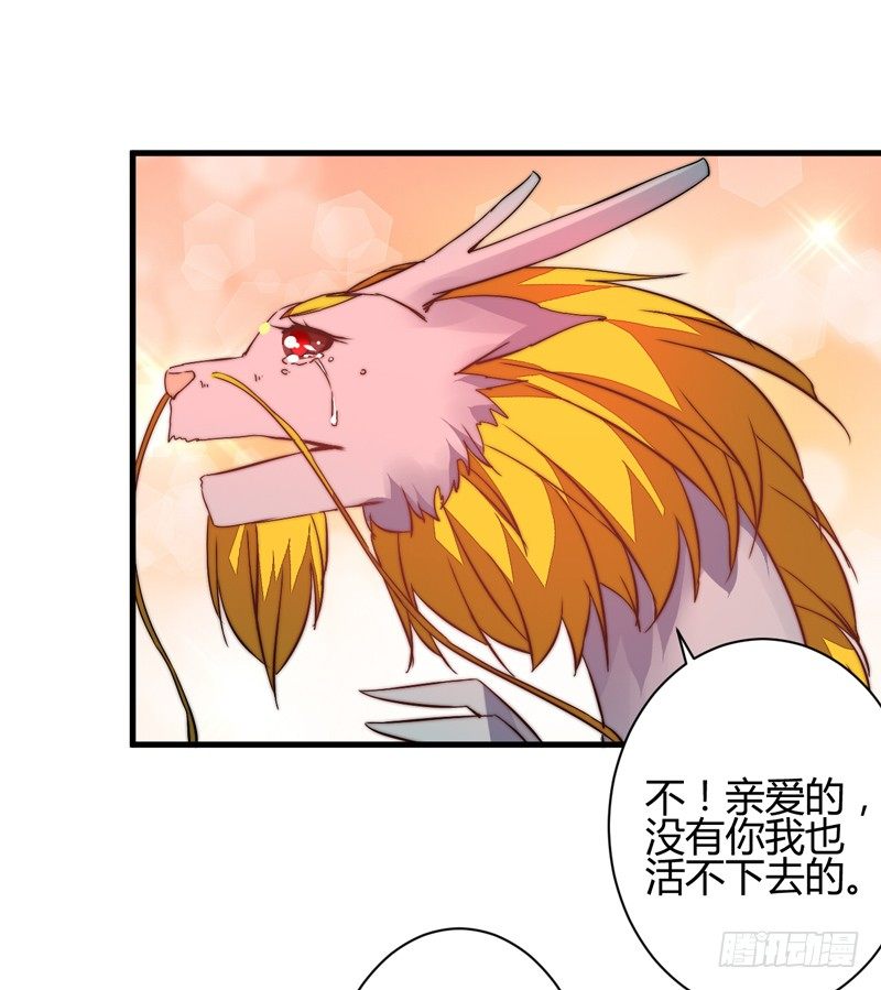 收服双龙24