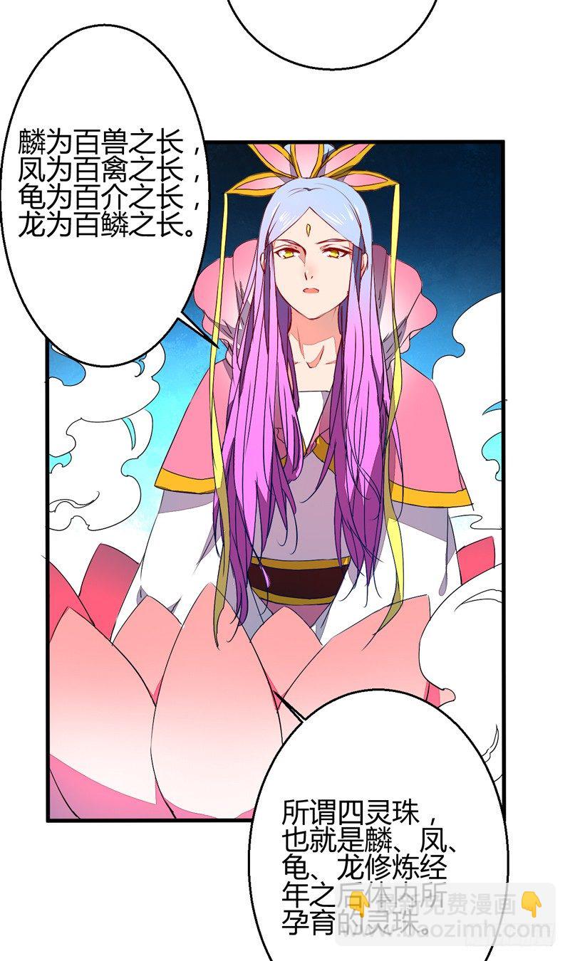 四灵珠9