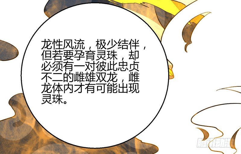四灵珠19