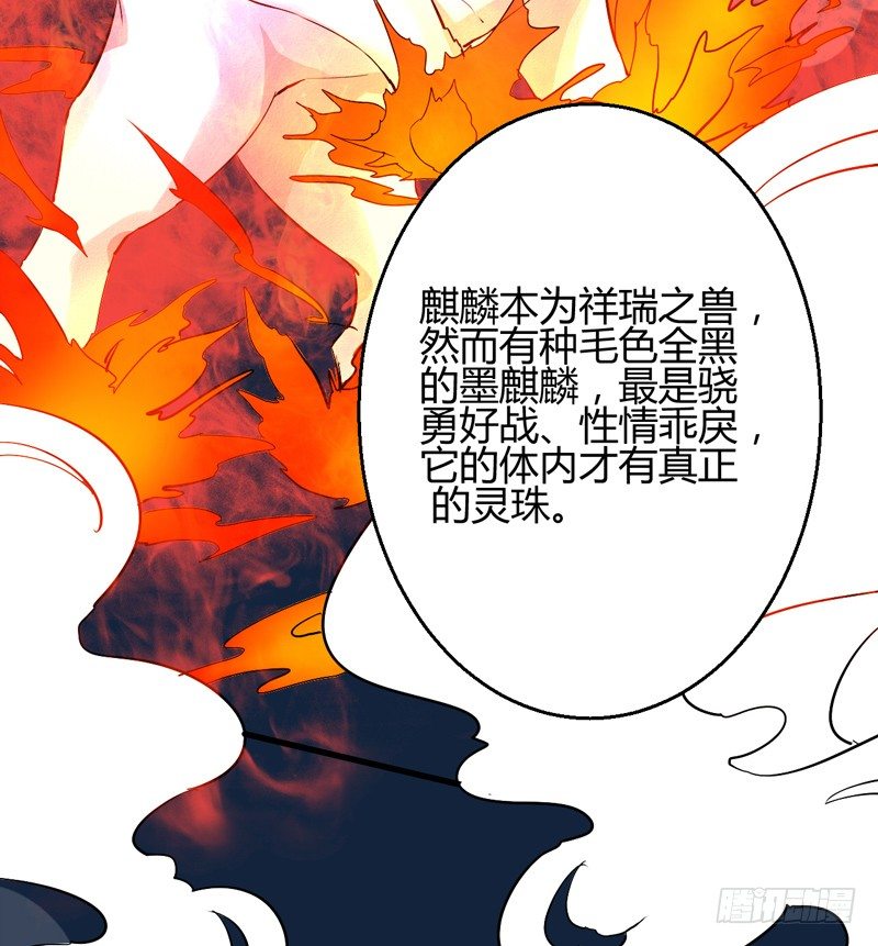 四灵珠14