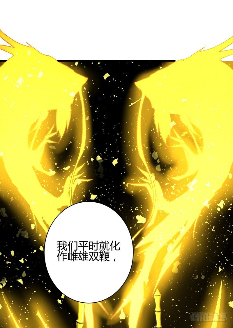 收服双龙36