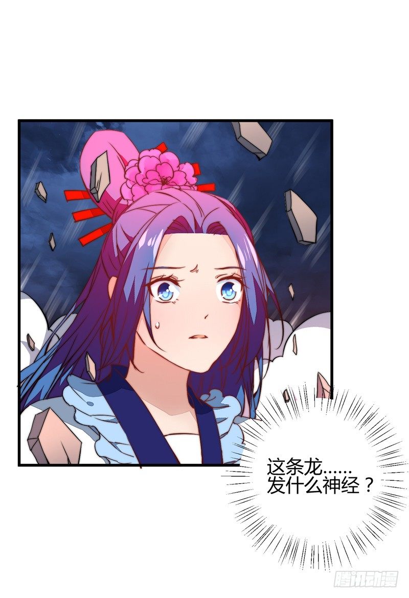 雌雄双龙12