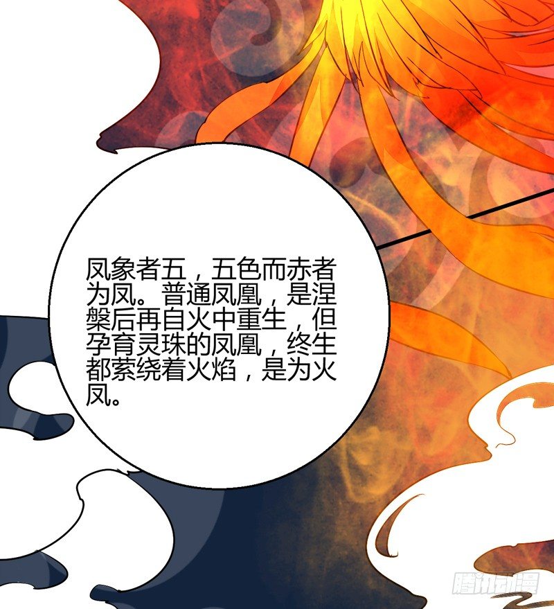 四灵珠16