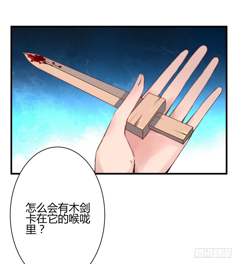 木剑引发的惨案11