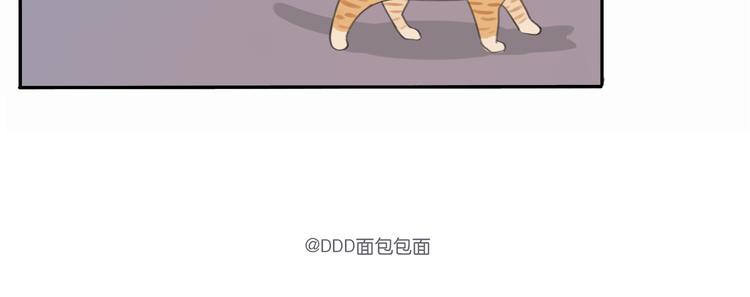 2 卷毛狗30
