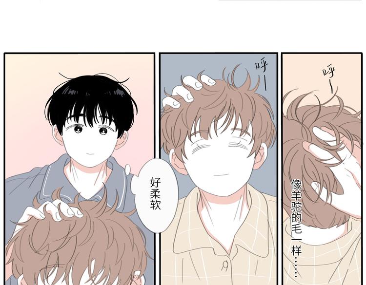 19 上 柔软14