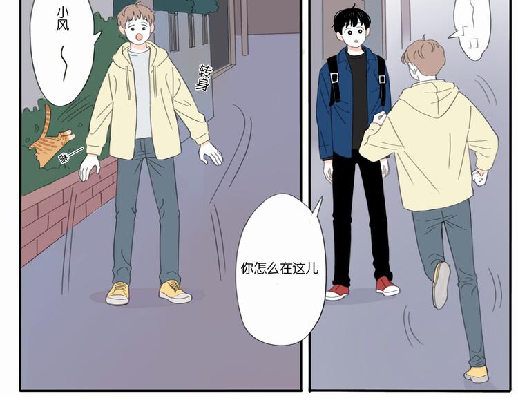 2 卷毛狗24