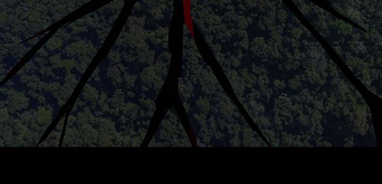 学院消失40
