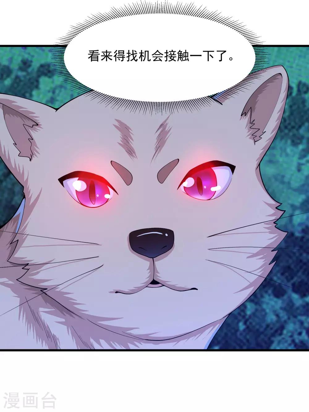 第23话 异能猫？8