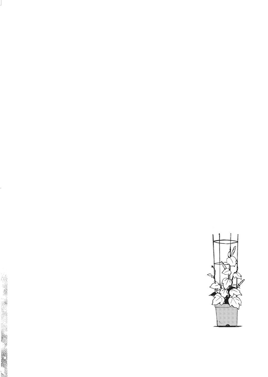 第40话4