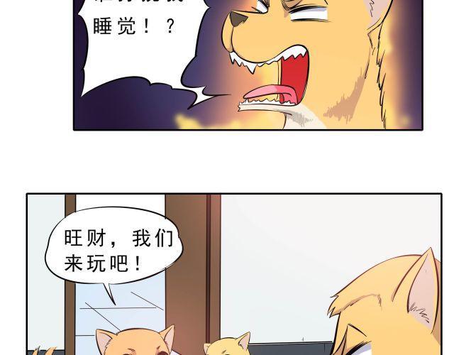 第10话 女主人竟然要把我送走！3