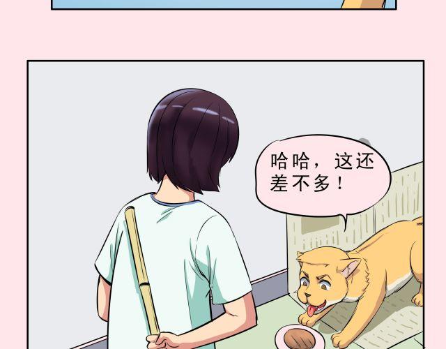 第12话 心情不好就可以虐狗吗30