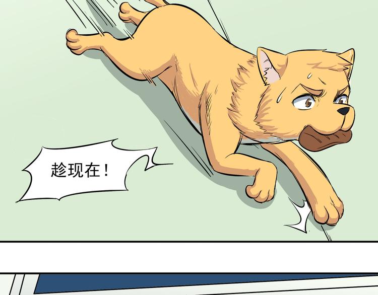 第15话 虐狗主人终于开始发狂了26
