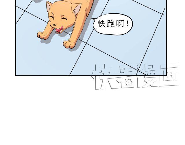 第10话 女主人竟然要把我送走！6
