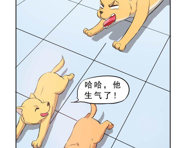 第10话 女主人竟然要把我送走！5