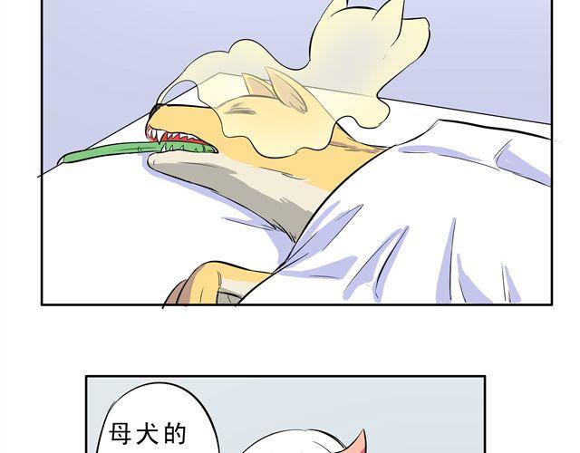 第7话 请你不要放弃！16