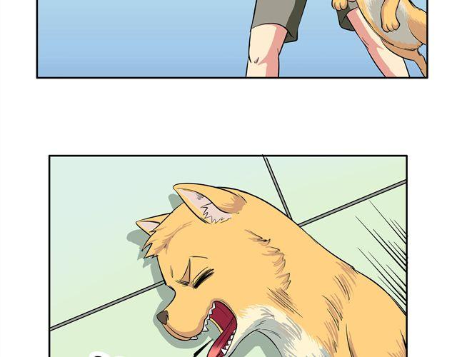第14话 完蛋了9