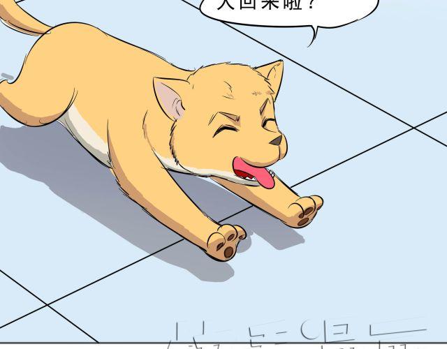 第10话 女主人竟然要把我送走！27