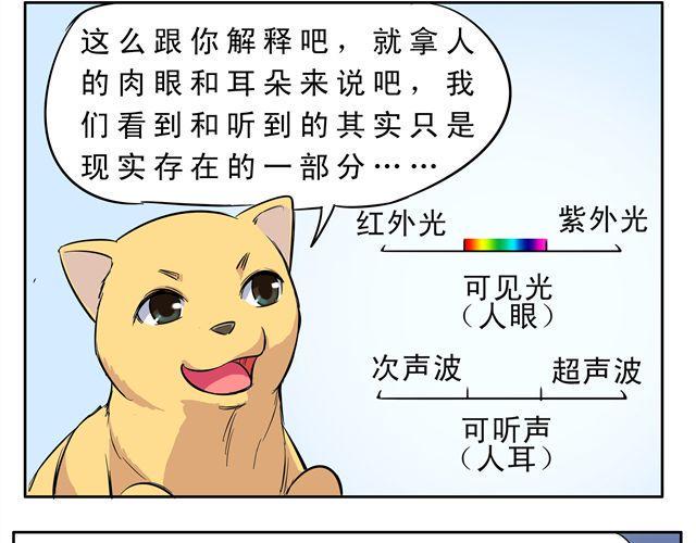 第9话 变成狗或许也不错！9