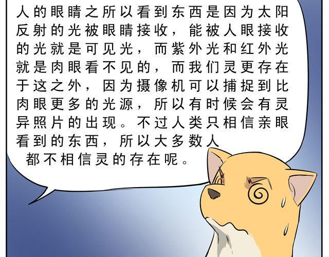 第9话 变成狗或许也不错！10