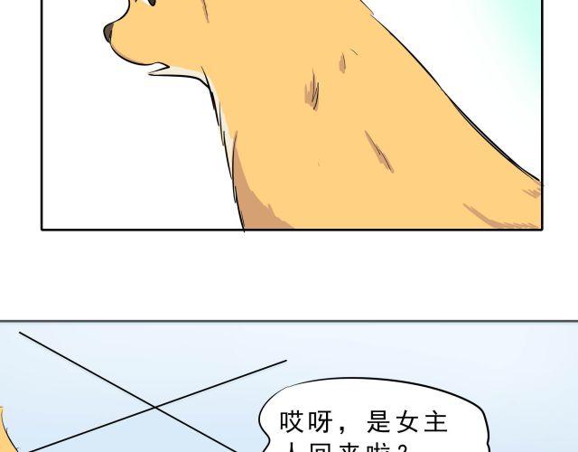 第10话 女主人竟然要把我送走！26