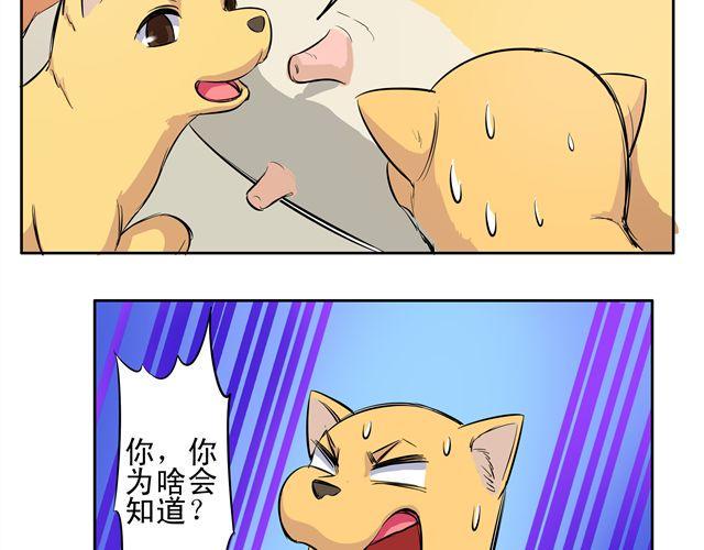 第9话 变成狗或许也不错！5