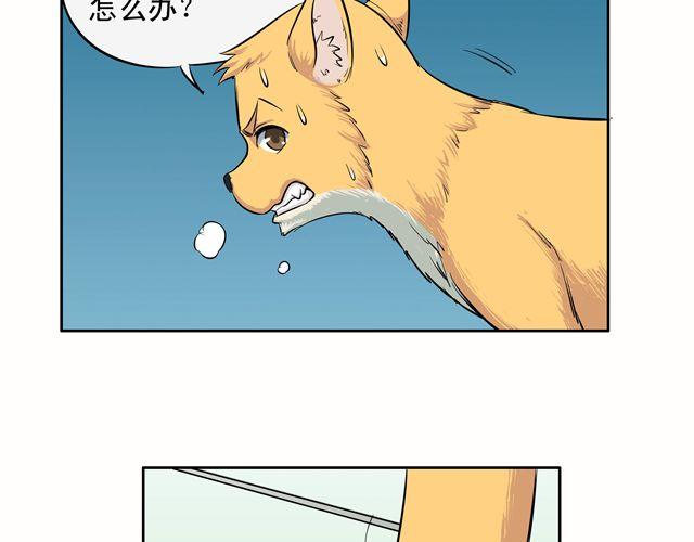 第14话 完蛋了4