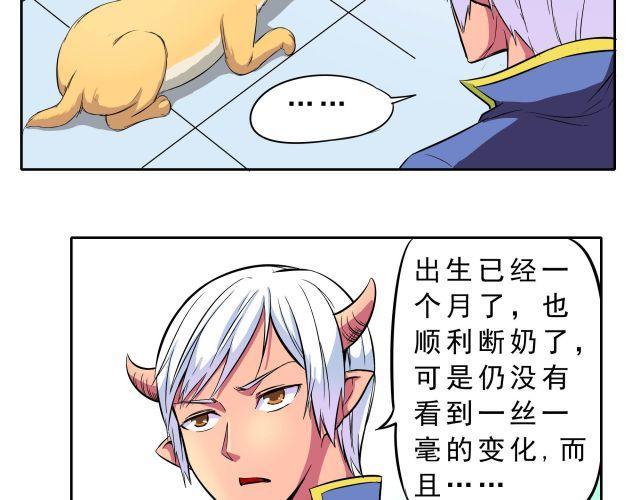 第10话 女主人竟然要把我送走！9