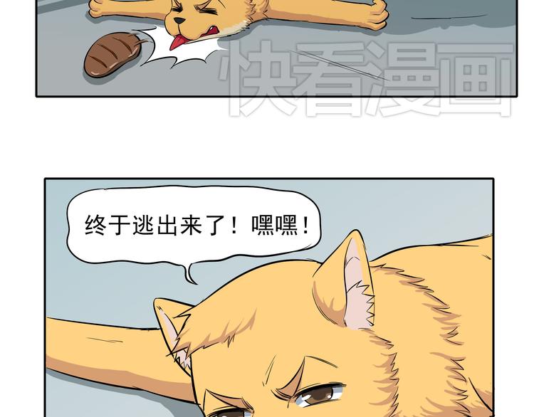 第15话 虐狗主人终于开始发狂了37