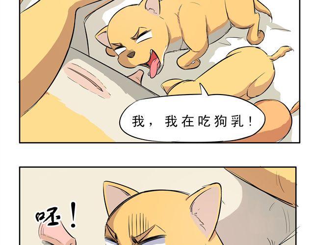 第9话 变成狗或许也不错！2