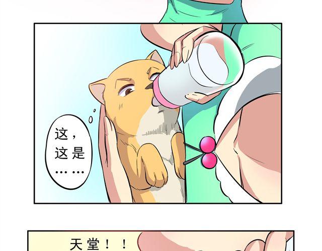 第9话 变成狗或许也不错！30