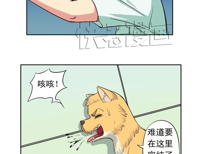 第14话 完蛋了11