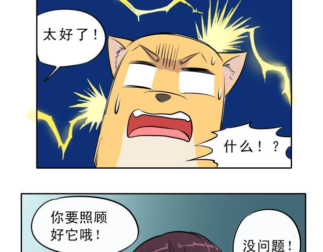 第10话 女主人竟然要把我送走！37
