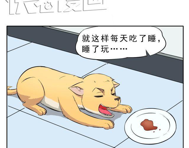 第10话 女主人竟然要把我送走！13