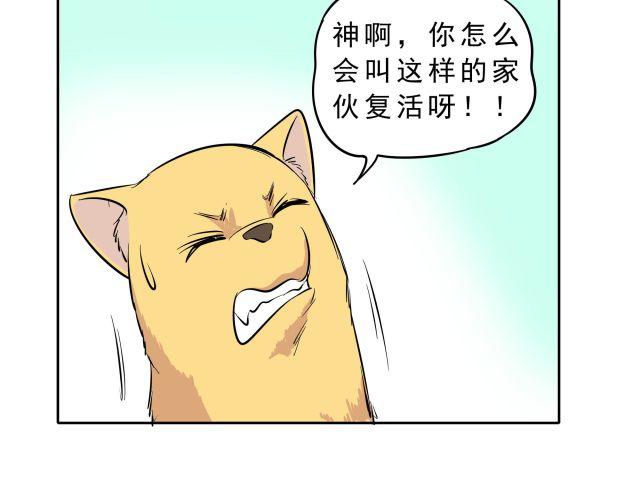 第10话 女主人竟然要把我送走！23