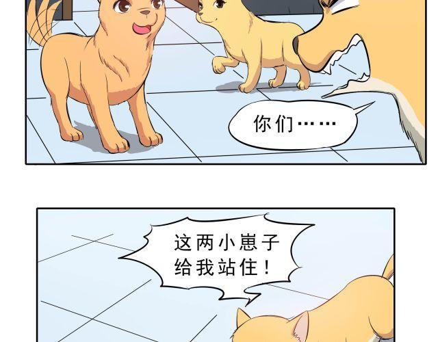 第10话 女主人竟然要把我送走！4