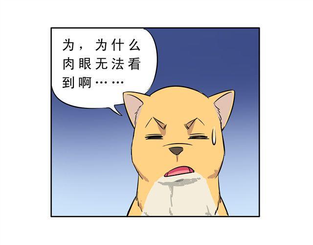 第9话 变成狗或许也不错！8