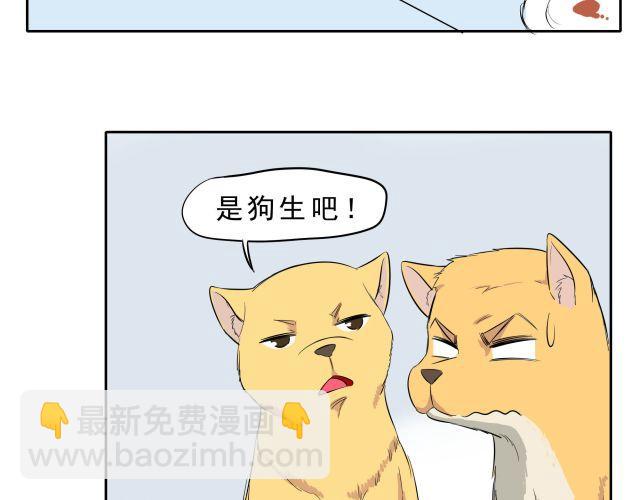 第10话 女主人竟然要把我送走！16